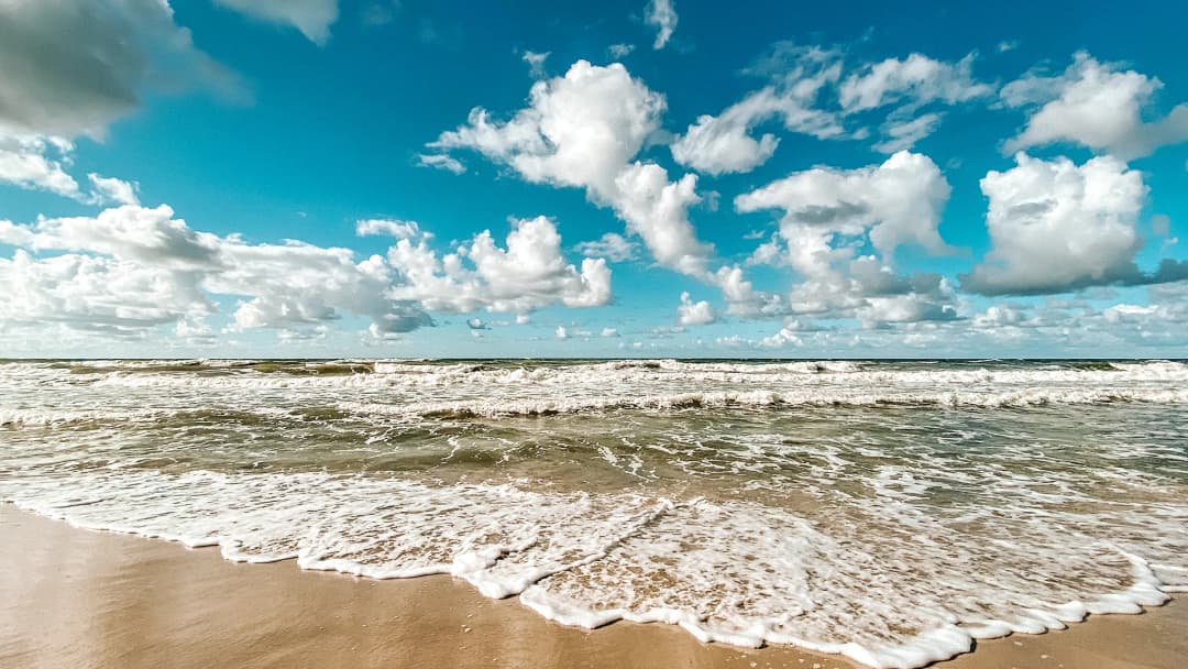 Elegant table setting for a charity event