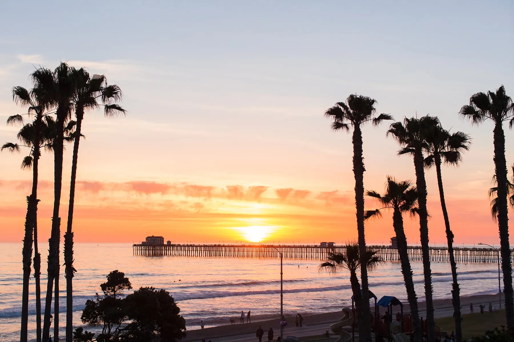 Sunset view over the ocean and pier framed by palm trees near The Blue Whale Resort